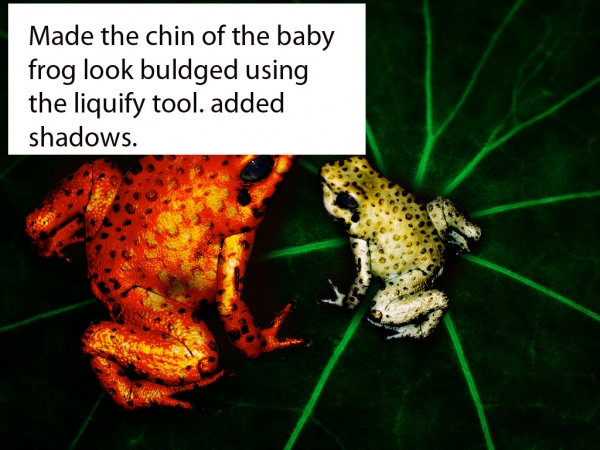 Creation of ladyfrog: Step 7